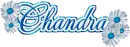 Chandra Blue Blossom