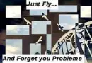 Fly away 