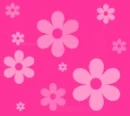 Pretty In Pink Flowers