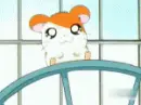 hamtaro