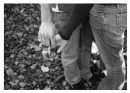holding hands