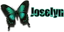 Joselyn