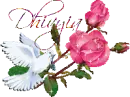 white dove - Dhivyia