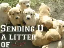 sending love