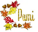 PAMI