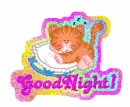 GoodNight Kitten