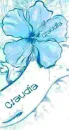 My name