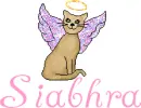 Siabhra-angel cat