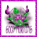 butterflies ans flowers