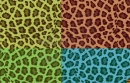 panterlook-bg-sa-2008-01