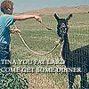 Napoleon Dynamite