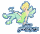 Beautiful Night Fairy