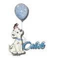 Caleb dalmation