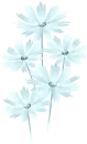 blue flowers