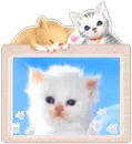 kittens