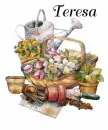 Teresa