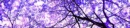 Purple picture oh
