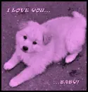 Puppy