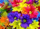 Pertty-ful Flowers