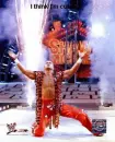 Shawn Michaels
