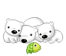 polar bear