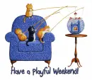 Relaxing Weekend