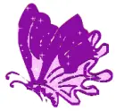 purple/pink butterfly
