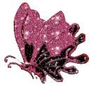 pink/black butterfly