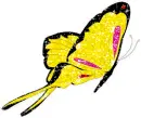 yellow butterfly
