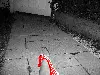 red shoe on path 