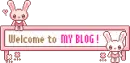 For Your Blog