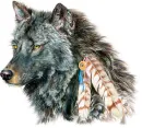 Indian wolf