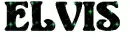 ELVIS
