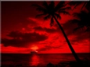 red sunset