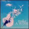 make a wish