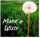 make a wish