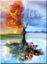seasons