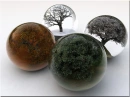 seasons