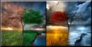 seasons