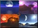 seasons