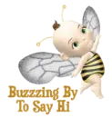 Buzzing By To Say Hi