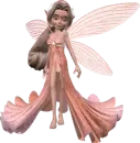 Fairy 