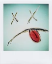 polaroid