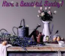 Beautiful Sunday