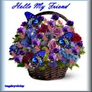 HELLO FRIEND