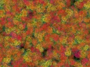 christmas flowers