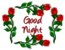 red flowers with good night..