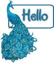 hello blue peacok