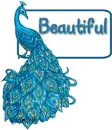 beautiful blue peacok