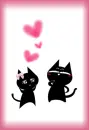 Miss kitty in love!